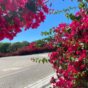 Galeria (13)