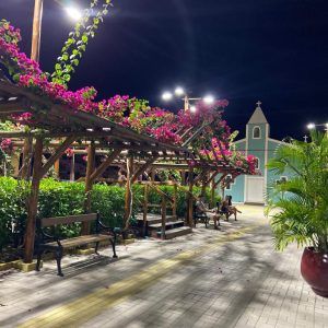 Galeria (14)